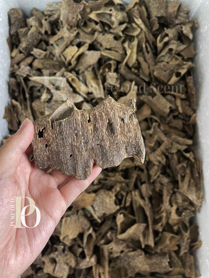 Agarwood Oud - Chunk - grade AA+ - Pure Ouds
