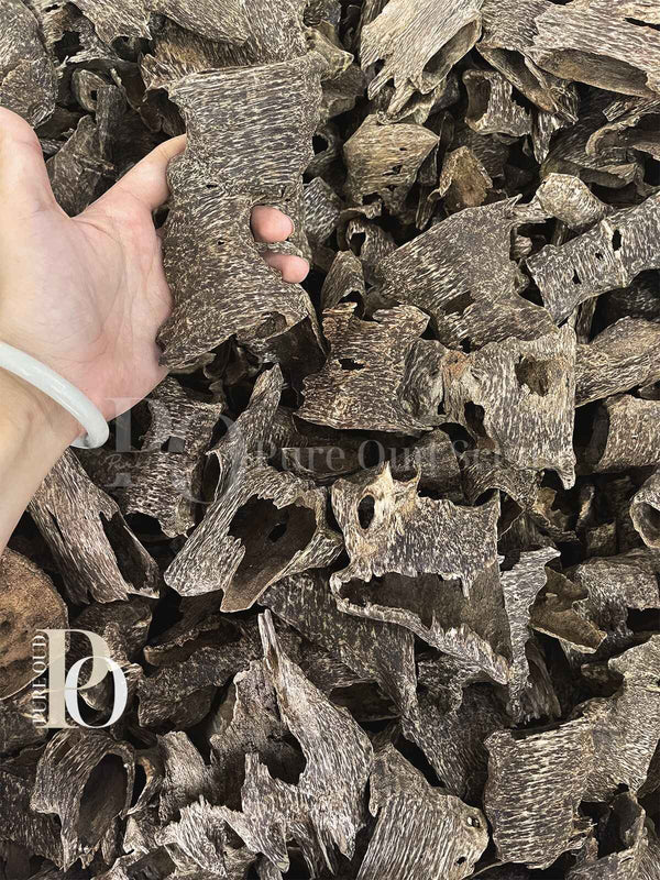 Agarwood Oud - Chunk - grade AAA+ - Pure Ouds