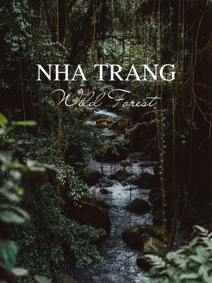 An Nam Oud Oil - Pure Ouds