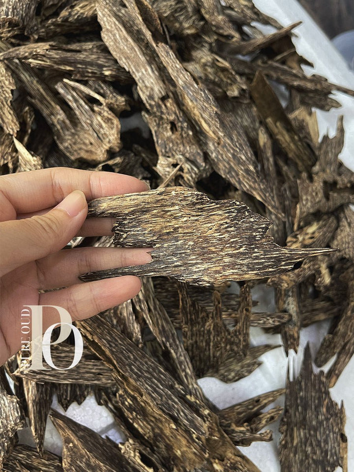 Ant Oud grade AA+ - Pure Ouds