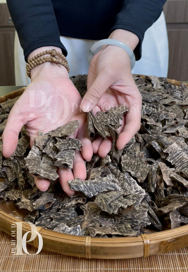 Black Nail Ant Oud Agarwood - Pure Ouds