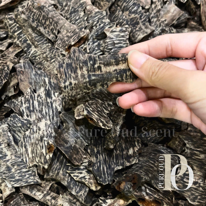 Black Nail Ant Oud Agarwood - Pure Ouds