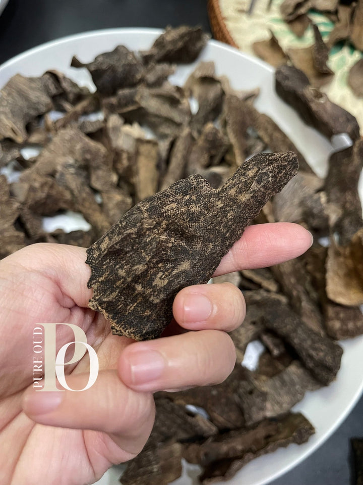 Chân khoan Chunk Agarwood Oud chips - Royal grade - Pure Oud Scent