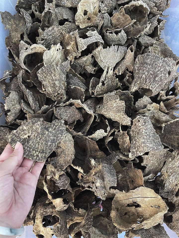 Char Oud AA+ - Pure Ouds