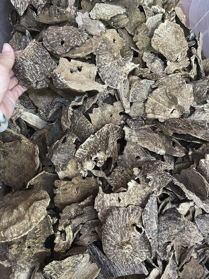 Char Oud AA+ - Pure Ouds