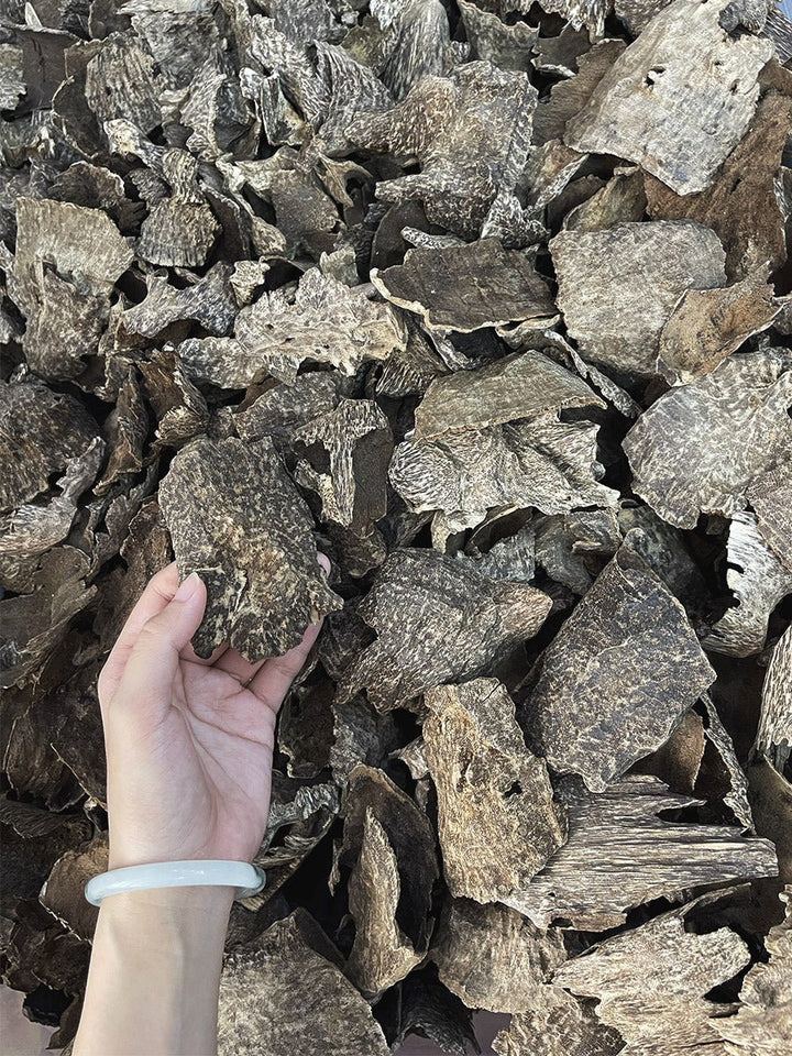 Char Oud AAA+ - Pure Ouds