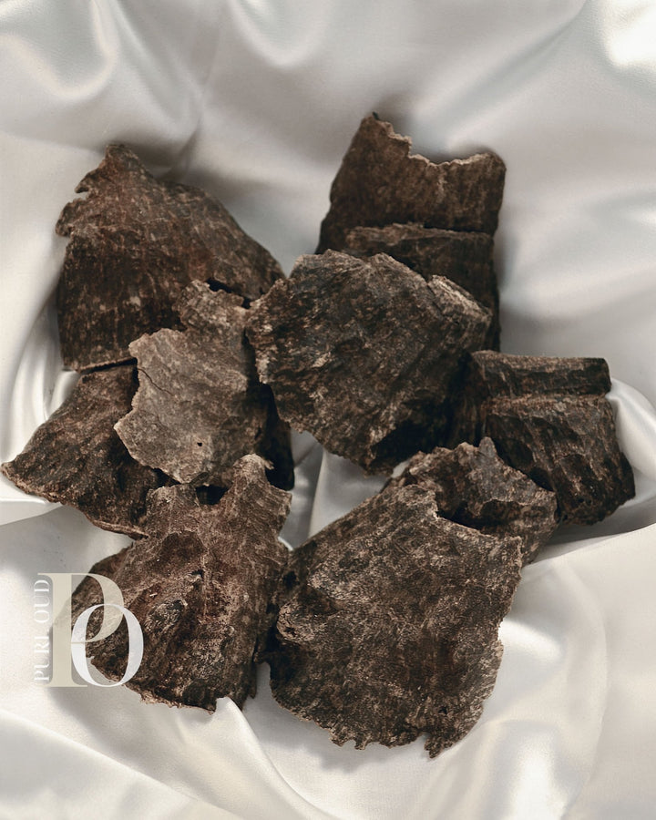 Char Oud Agarwood - Royal grade - Pure Oud Scent