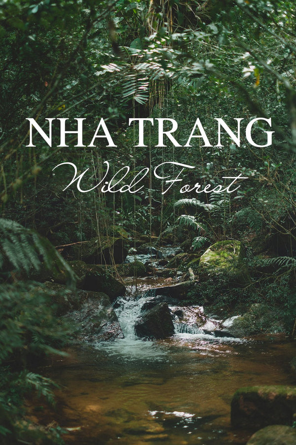 JaTrang Forest Agarwood/Oud oil - Pure Ouds