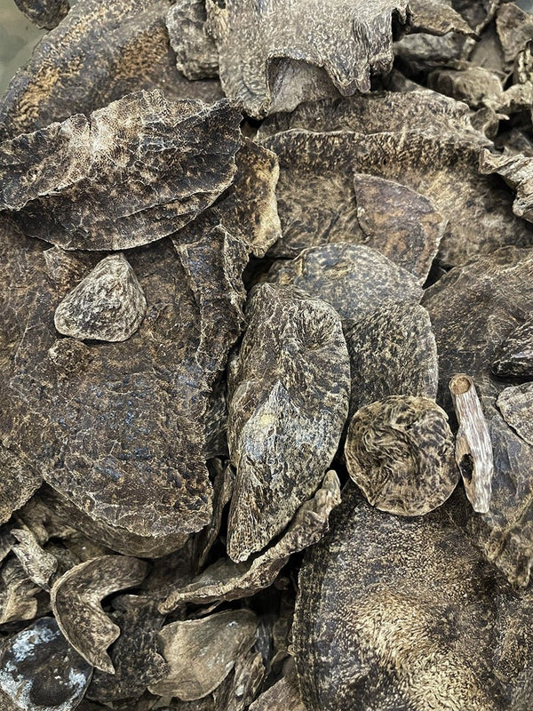 Premium Wild Agarwood chips Vietnam - Pure Ouds