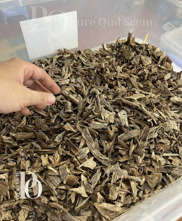 Small pieces Ant Oud (high oil content) - Pure Ouds